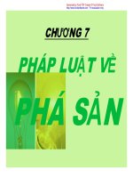 Chương 7: Pháp luật về phá sản pptx