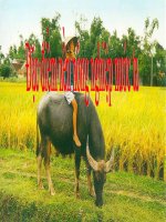 Giáo án điện tử môn Địa Lý: Đặc điểm nền nông nghiệp nước ta pps