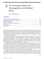 WILDLIFE SCIENCE: LINKING ECOLOGICAL THEORY AND MANAGEMENT APPLICATIONS - CHAPTER 5 docx