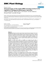 báo cáo khoa học: 