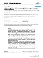 báo cáo khoa học: 