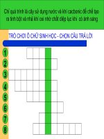 Bài giảng điện tử môn sinh học: tổng kết về cây có hoa pptx