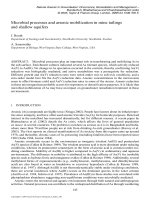 NATURAL ARSENIC IN GROUNDWATER: OCCURRENCE, REMEDIATION AND MANAGEMENT - CHAPTER 17 ppt