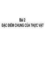 Bài giảng điện tử môn sinh học: Đặc điểm của giới thực vật ppt