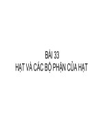Bài giảng điện tử môn sinh học: Cấu tạo của hạt pptx