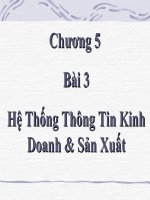 Bài giảng điện tử môn tin học: Hệ Thống Thông Tin Kinh Doanh & Sản Xuất pot