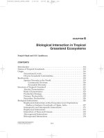 Structure and Function in Agroecosystem Design and Management - Chapter 6 doc