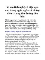 Vì sao tinh nghệ có hiệu quả cao trong ngăn ngừa và hỗ trợ điều trị ung thư đường tiêu hóa pdf