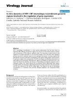 Báo cáo khoa học: 