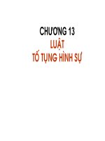 Chương 13: Luật tố tụng hình sự pdf