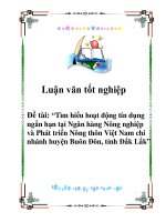 Luận văn tốt nghiệp: Tìm hiểu hoạt động tín dụng ngắn hạn tại Ngân hàng Nông nghiệp và Phát triển Nông thôn Việt Nam chi nhánh huyện Buôn Đôn, tỉnh Đắk Lắk pps
