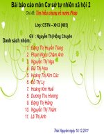 Giáo án điện tử môn Địa Lý: Cộng Hòa Pháp potx