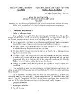 công ty cổ phần xi măng yên bình tỉnh yên bái báo cáo thường niên 2010