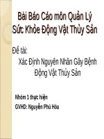 Bài báo cáo môn Quản lý sức khỏe động vật thủy sản: xác định nguyên nhân gây bệnh động vật thủy sản docx