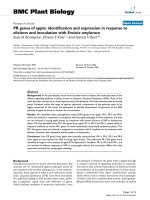 báo cáo khoa học: 