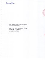 tổng công ty cổ phần xuất nhập khẩu xây dựng việt nam vinaconex báo cáo tài chính hợp nhất đã được kiểm toán cho năm tài chính kết thúc ngày 31 tháng 12 năm 2011