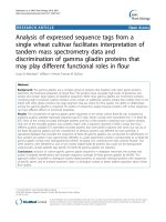 báo cáo khoa học: 