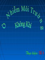 Sinh học 9-ô nhiễm môi trường pptx