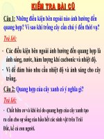 giáo án bồi dưỡng sinh học 6 câu có hô hấp không