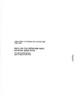 tổng công ty cổ phần xây lắp dầu khí vn báo cáo tài chính hợp nhất đã được kiểm toán cho năm tài chính kết thúc ngày 31 tháng 12 năm 2010