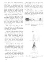 Tự thiết kế, lắp ráp 49 mạch điện thông minh – chuyên về năng lượng mặt trời part 7 pps