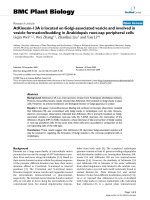 báo cáo khoa học: 