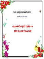 giáo án bồi dưỡng sinh học 6 vận chuyển các chất trong thân