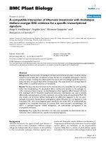 báo cáo khoa học: 