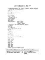 SỐ NHIỀU CỦA DANH TỪ ppsx