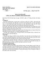 bao cao dai hoi doan doc