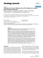 Báo cáo khoa học: 