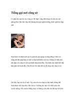 Tiếng gọi nơi công sở ppsx