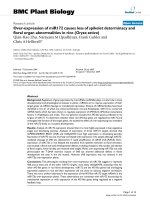 báo cáo khoa học: 