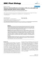 báo cáo khoa học: 