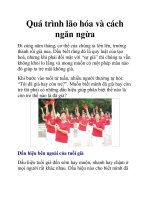 Quá trình lão hóa và cách ngăn ngừa ppt