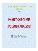Polyme Analysis 2010 Part 1 pdf