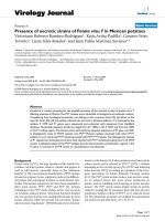 Báo cáo khoa học: 