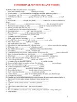 BT câu Điều kiện và wishes