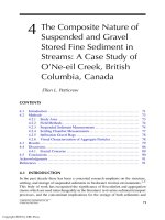 Flocculation In Natural And Engineered Environmental Systems - Chapter 4 ppsx