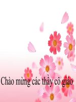 Bài giảng môn lịch sử: Thời nguyên thủy ở nước ta doc