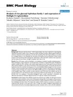 báo cáo khoa học: 