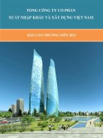 tổng công ty cổ phần xuất nhập khẩu  xây dựng việt nam vinaconex báo cáo thường niên 2012