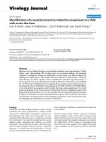 Báo cáo khoa học: 