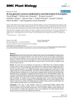 báo cáo khoa học: 