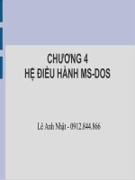 Bài giảng điện tử môn tin học: Hệ điều hành MSDOS doc