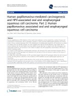 báo cáo khoa học: 