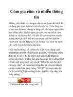 Cúm gia cầm và nhiễu thông tin ppt