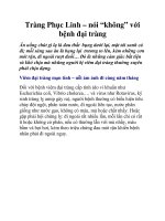 Tràng Phục Linh – nói “không” với bệnh đại tràng pps