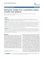 báo cáo khoa học: 