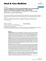 báo cáo khoa học: 